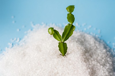 concept eco-friendly petit cactus vert prend vie dans un tas de granules plastiques blanche polymer bio avec fond bleu clair